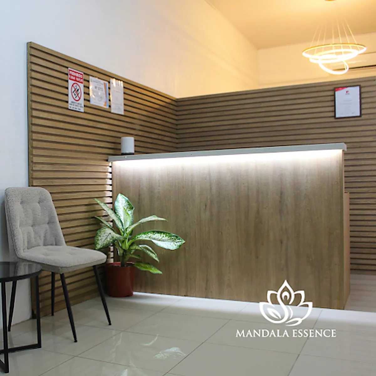 Reception area at Clínica Mándala Essence in Cóbano